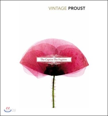 The In Search of Lost Time, Vol 5
