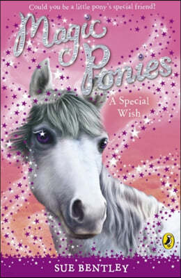 Magic Ponies: A Special Wish