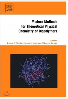 Modern Methods for Theoretical Physical Chemistry of Biopolymers