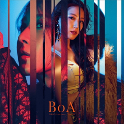  (BoA) -  -My Love- / Amor (CD)