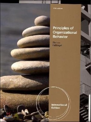 Principles of Organizational Behavior