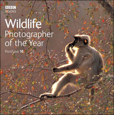 A Wildlife Photographer of the Year Portfolio 16