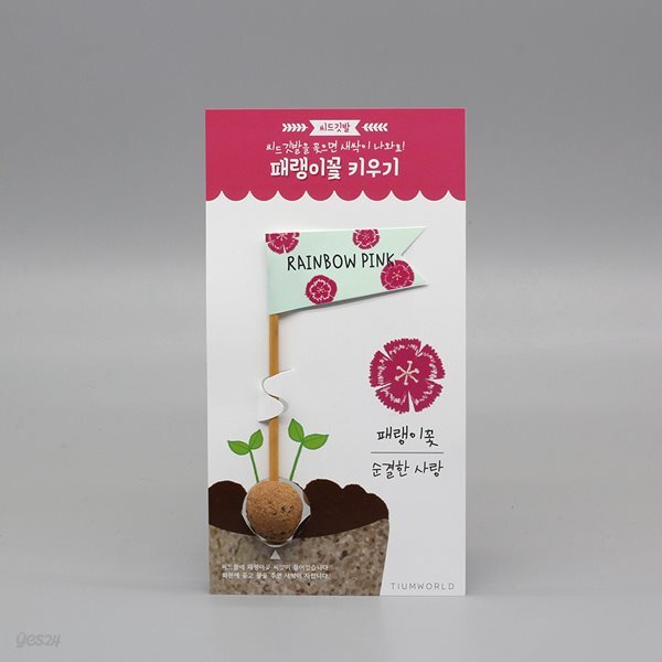 (아이디어 씨앗) 씨드깃발 - 패랭이꽃