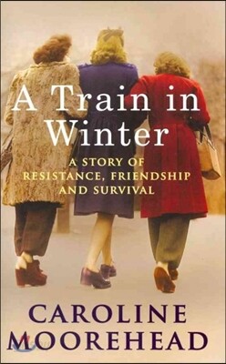 A Train in Winter