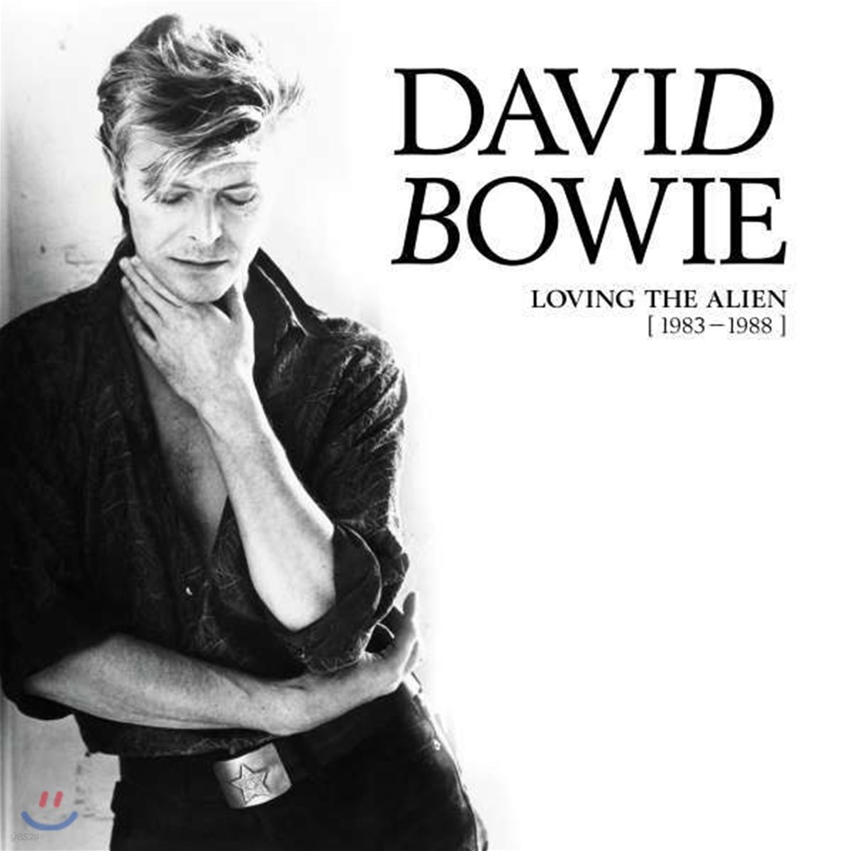 David Bowie (데이빗 보위) - Loving The Alien 1983-1988 [15LP]