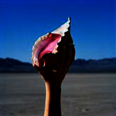 Killers — Wonderful Wonderful (Gatefold Cover) 앨범 커버