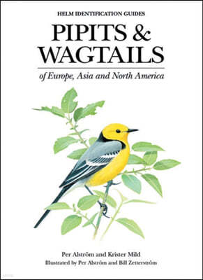 Pipits and Wagtails of Europe, Asia and North America