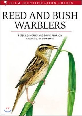 The Reed and Bush Warblers