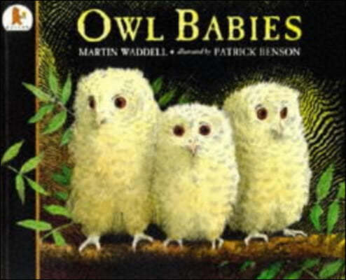 Owl Babies