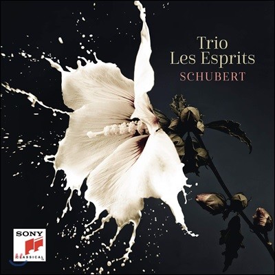 Trio Les Esprits Ʈ: Ƹ ҳŸ, ǾƳ Ʈ 1 & 2, ȯ (Schubert: Sonata, Trio for Piano, Fantasia) 
