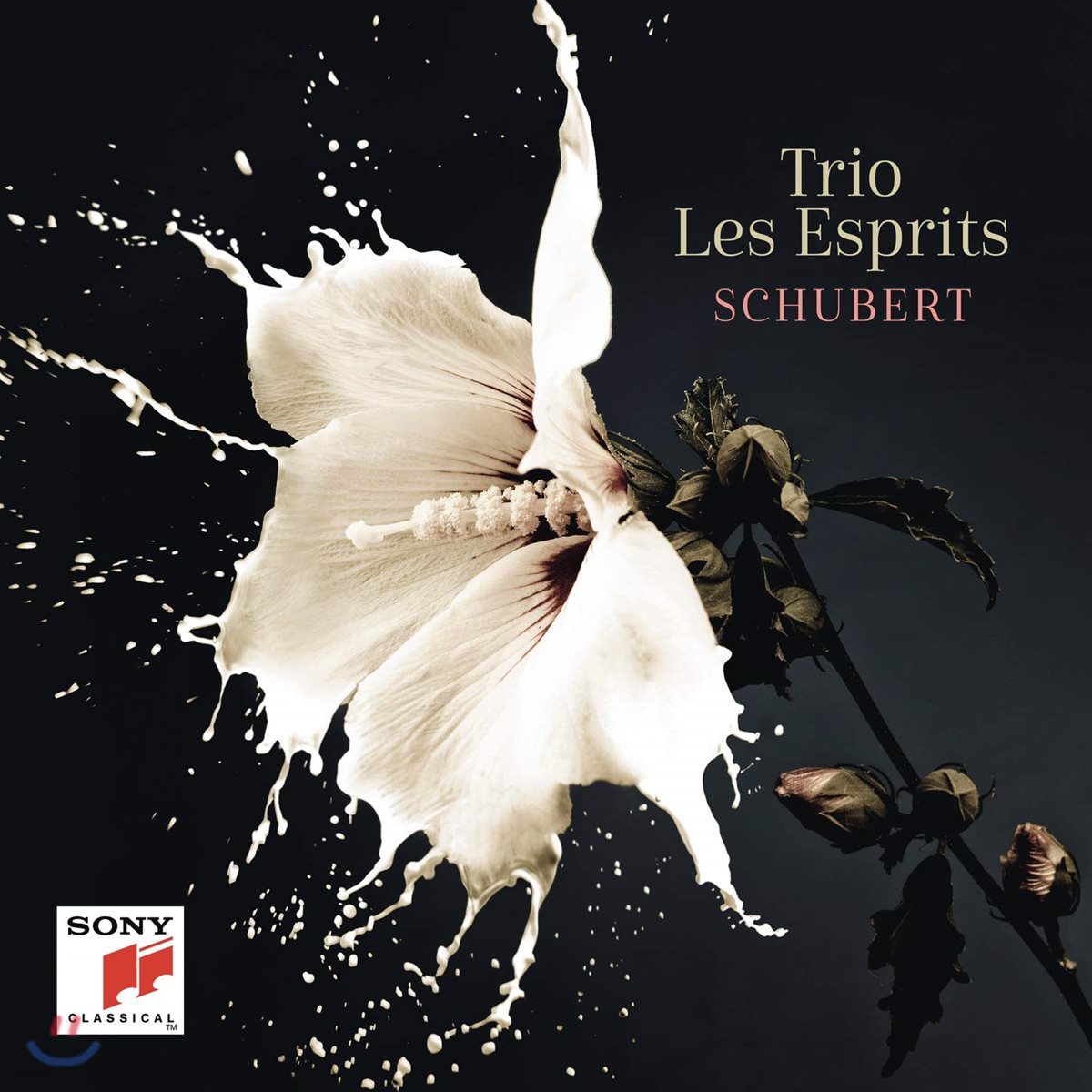 Trio Les Esprits 슈베르트: 아르페지오네 소나타, 피아노 트리오 1 & 2번, 환상곡 (Schubert: Sonata, Trio for Piano, Fantasia) 