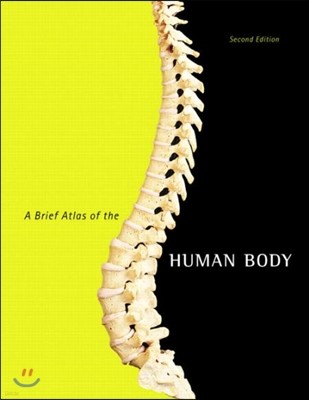 A Brief Atlas of the Human Body