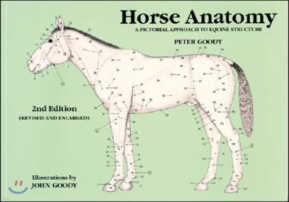 Horse Anatomy: A Pictorial Approach to Equine Structure