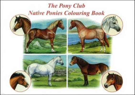 Pony Club Native Ponies Colouring Book