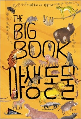THE BIG BOOK ߻ 