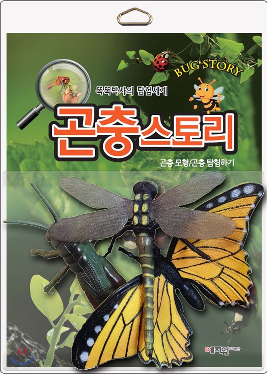 곤충스토리 BUG STORY
