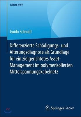 Differenzierte Schadigungs- Und Alterungsdiagnose ALS Grundlage Fur Ein Zielgerichtetes Asset-Management Im Polymerisolierten Mittelspannungskabelnetz