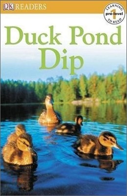 Dk Readers Level 1 : Duck Pond Dip