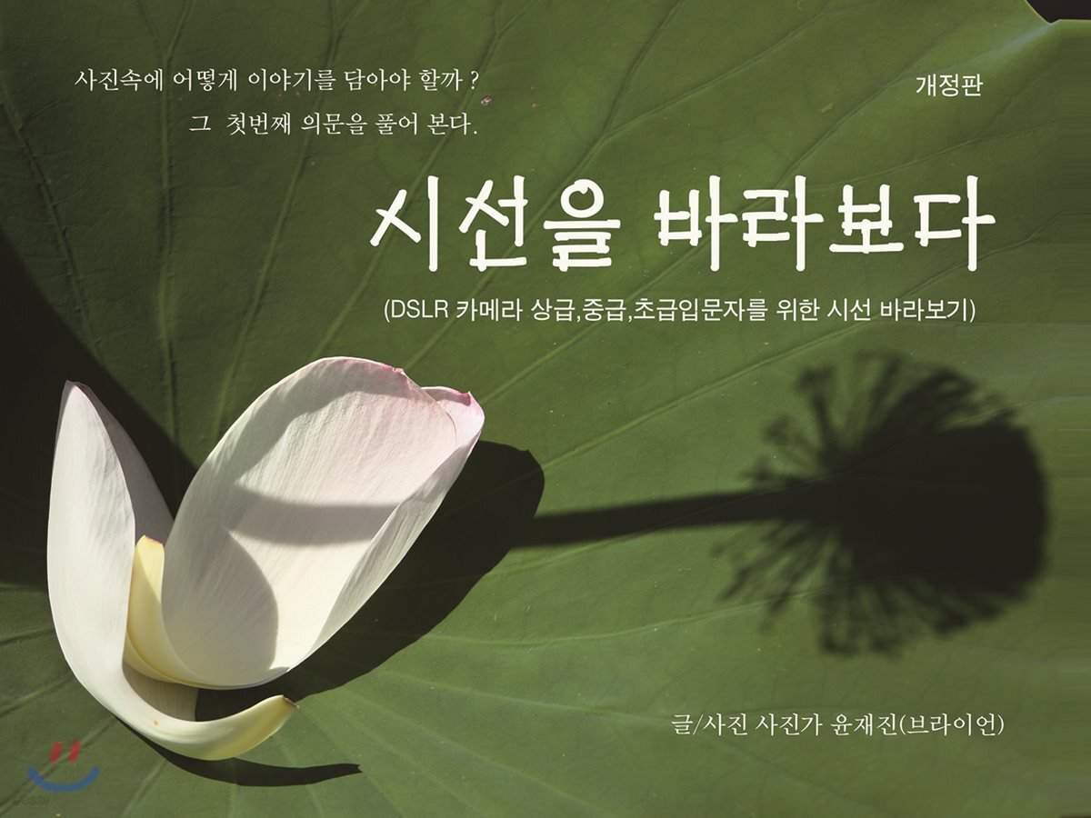 시선을 바라보다