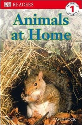 Dk Readers Level 1 : Animals at Home