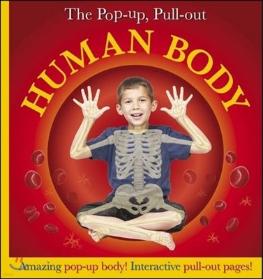 The Pop-Up, Pull-Out Human Body