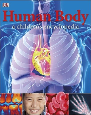 Human Body A Children's Encyclopedia