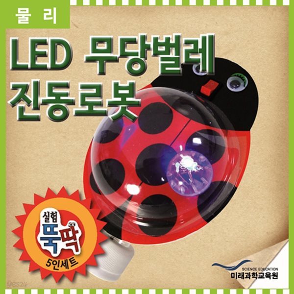 실험뚝딱 LED 무당벌레 진동로봇 5인세트