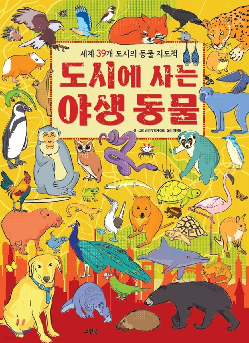 도시에 사는 야생 동물 (빅북)