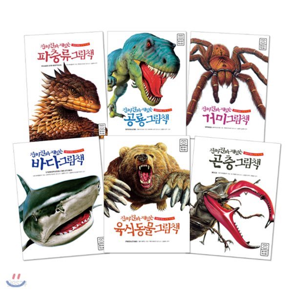 진짜 진짜 재밌는 그림책 보급판 세트 (전6권) : 공룡.바다.파충류.곤충.육식동물.거미