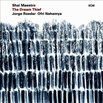 Shai Maestro — The Dream Thief 앨범 커버