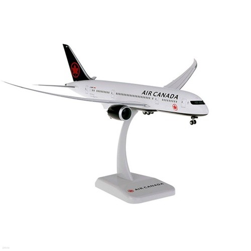 1/200 B787-8 (HG910956WH) ĳ 