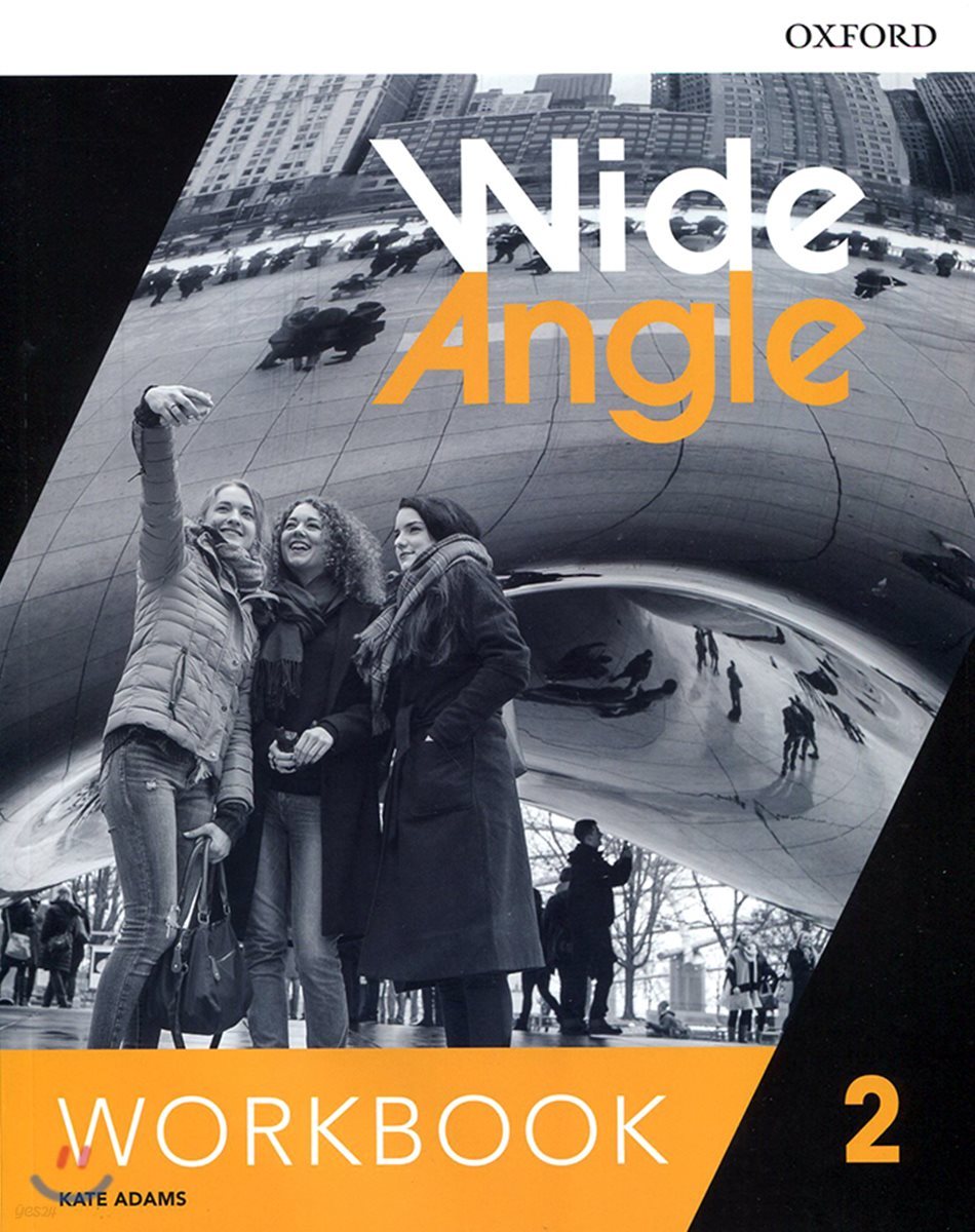 Wide Angle 2 Workbook
