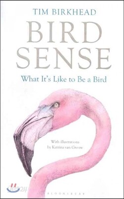 Bird Sense