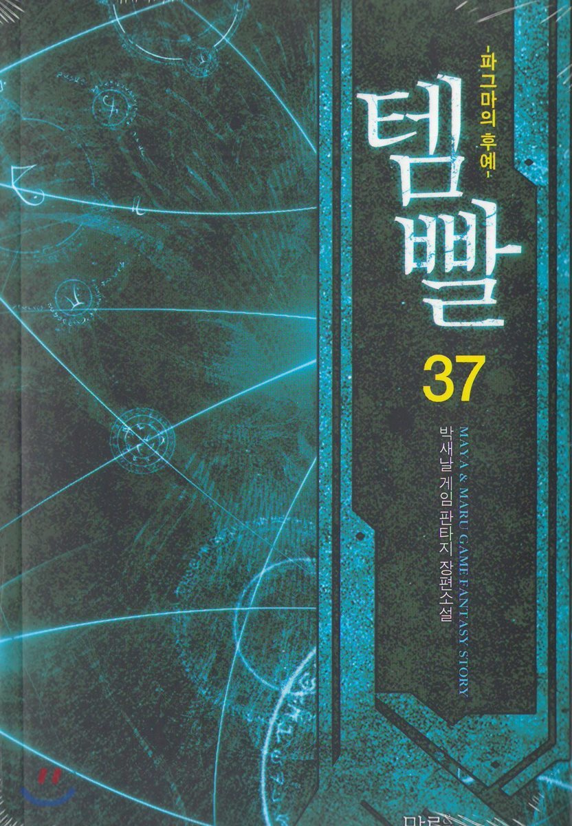 템빨 37