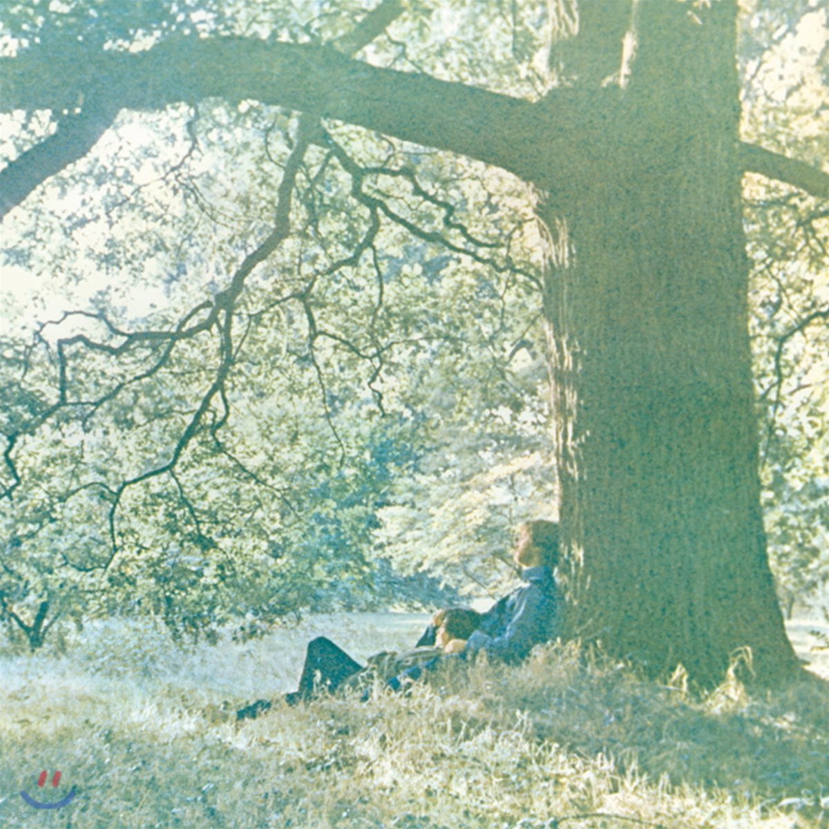 Yoko Ono (오노 요코) - Plastic Ono Band [투명 컬러 LP]
