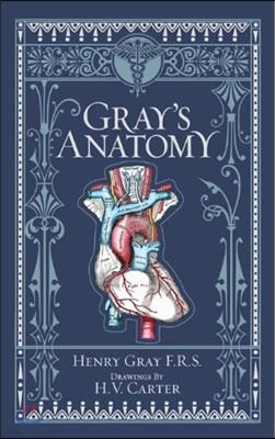 Gray's Anatomy (Barnes & Noble Collectible Classics: Omnibus