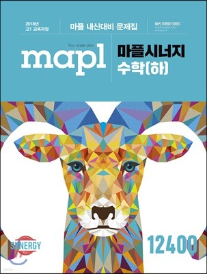 MAPL 마플 시너지 수학 (하) (2019년용)