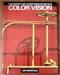 Color Vision: A Photographers Guide to Understanding and Using Color (Paperback)
