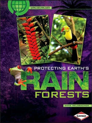 Protecting Earth's Rain Forests