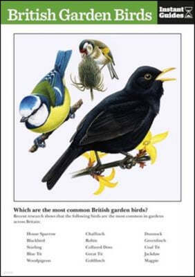 British Garden Birds