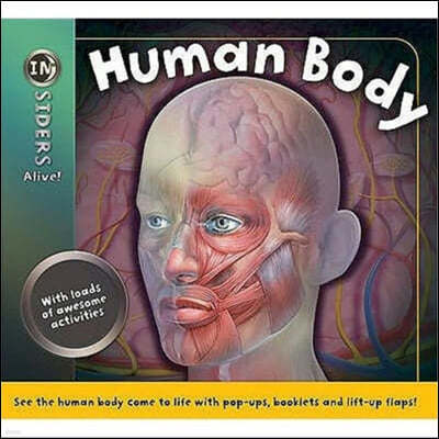 Human Body