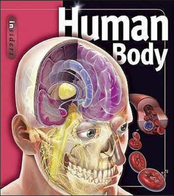 Human Body