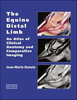 Equine Distal Limb