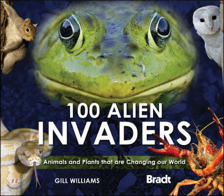 100 Alien Invaders