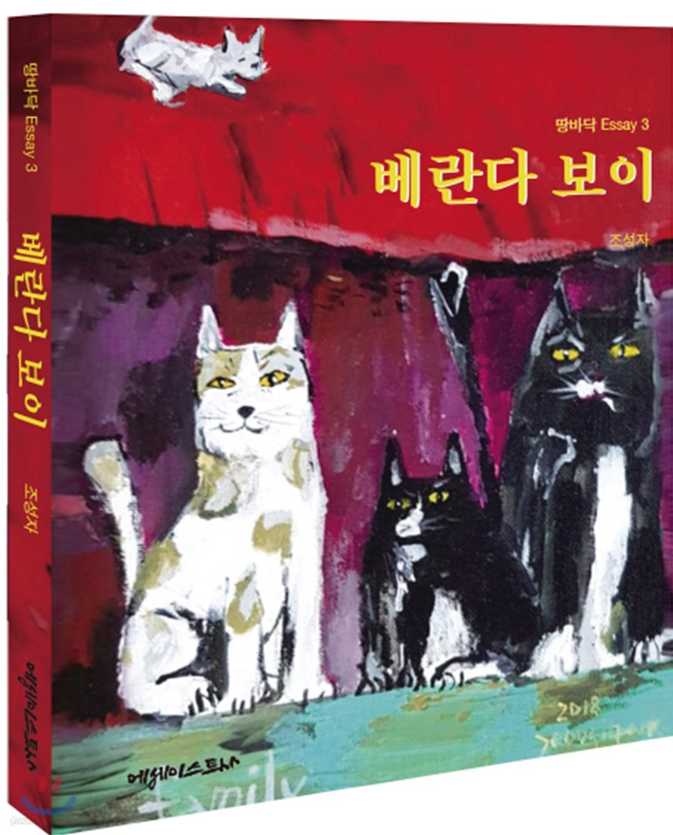 베란다 보이