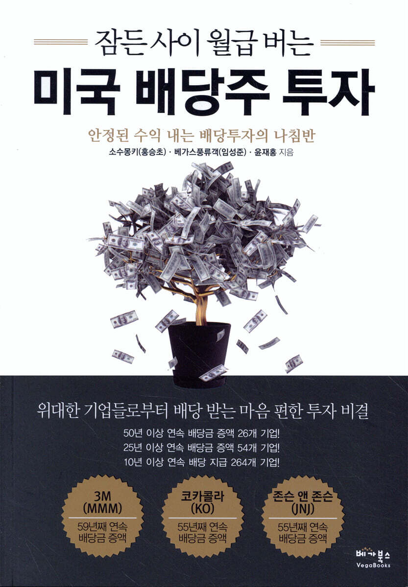 잠든 사이 월급 버는 미국 배당주 투자 커버 이미지