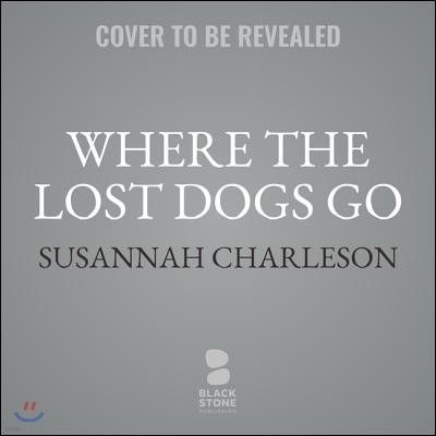Where the Lost Dogs Go Lib/E: A Story of Love, Search, and the Power of Reunion