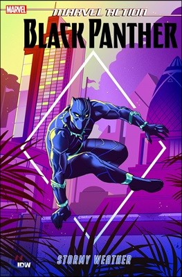Marvel Action: Black Panther: Stormy Weather (Book One)