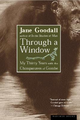 Through a Window