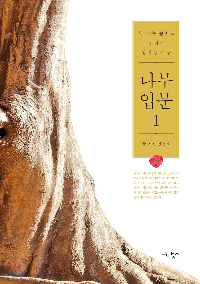 나무 입문 1